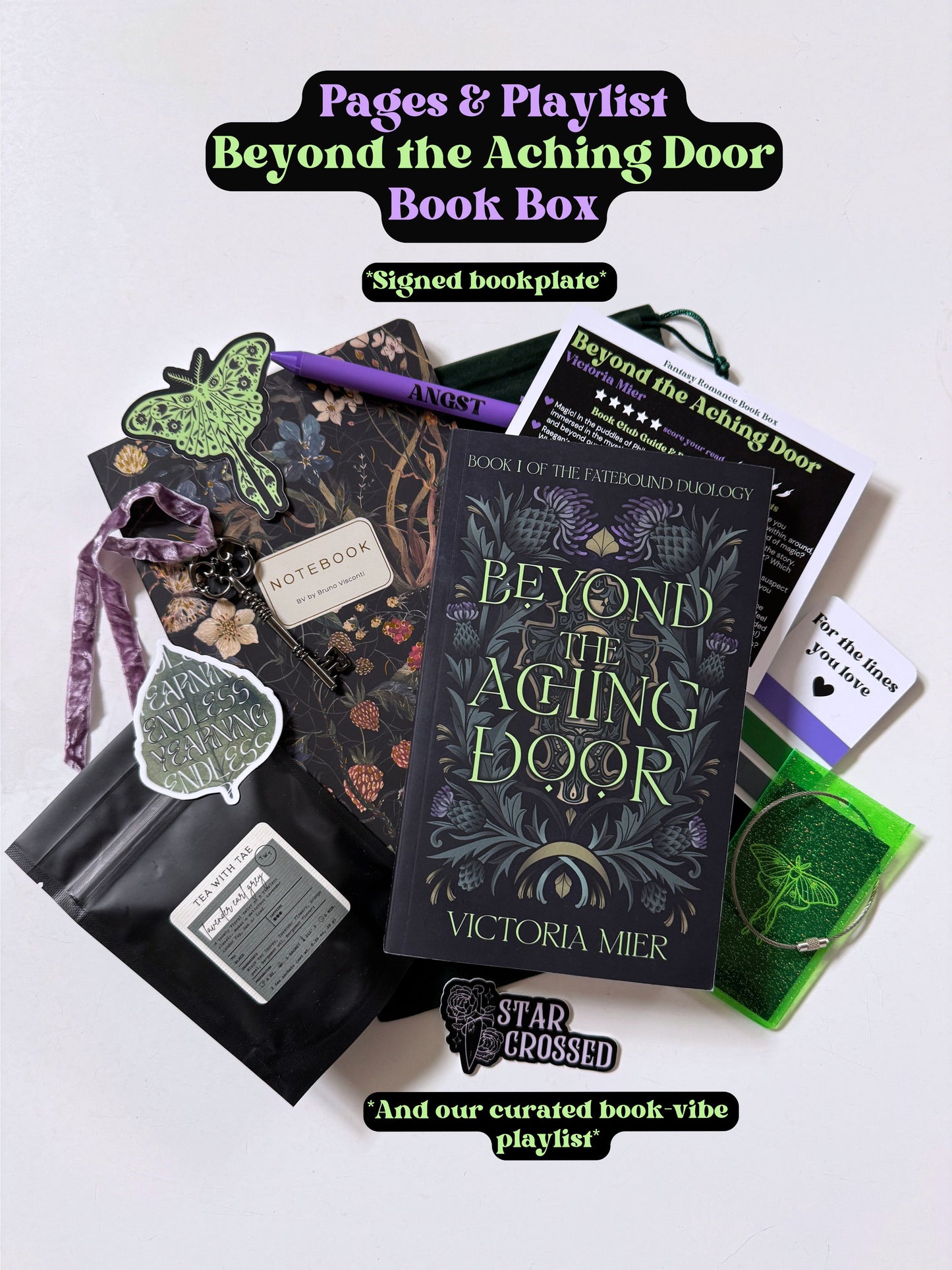 Beyond the Aching Door Book Box